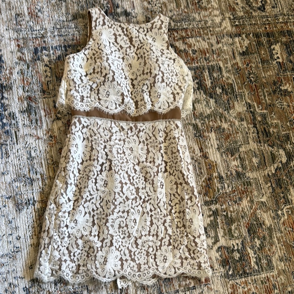 Elegant Lace Sleeveless Dress